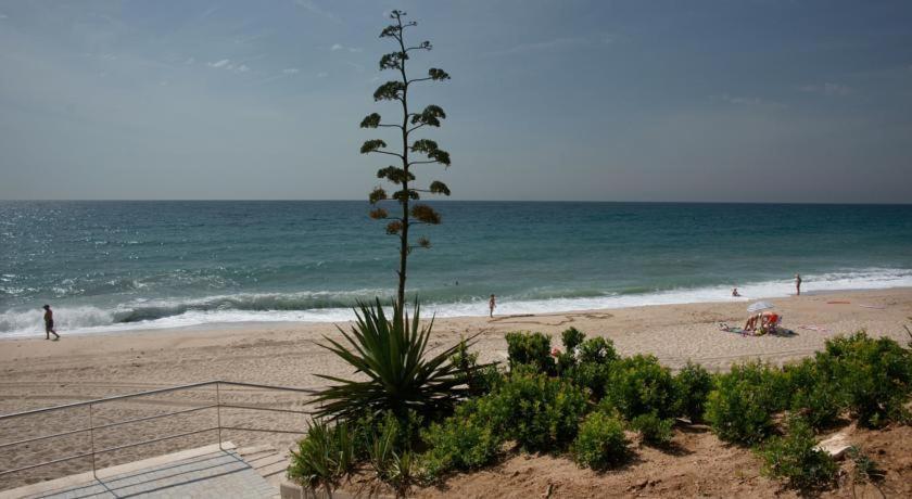 Apart. A-Dorada Miami Playa Apartment Ngoại thất bức ảnh